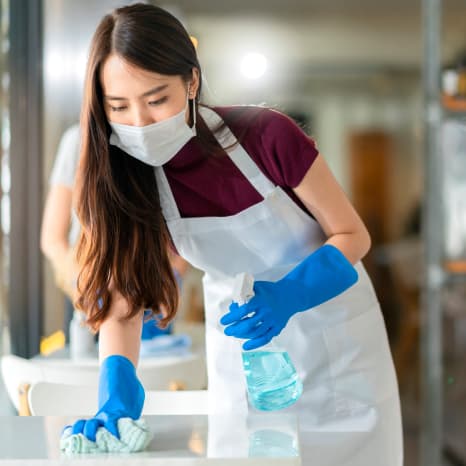 professional carpet cleaning service windsor ontario